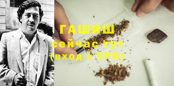 стаф Алзамай