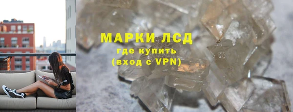 стаф Алзамай