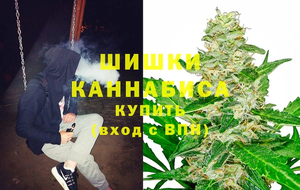 стаф Алзамай