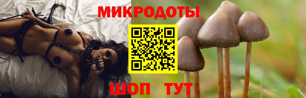 Псилоцибиновые грибы Psilocybine cubensis Лабытнанги