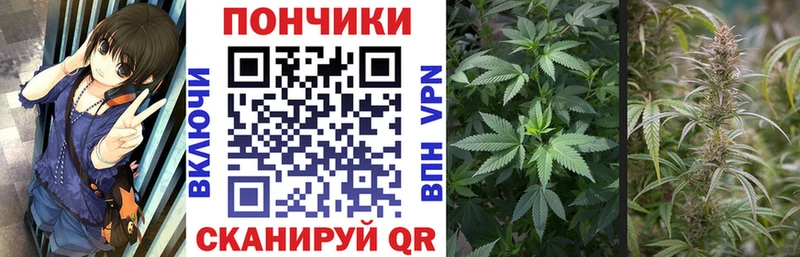 Конопля сатива продажа наркотиков Лабытнанги